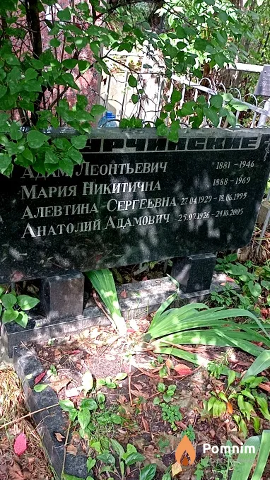 Скурчинская Алевтина Сергеевна