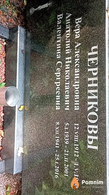 Черников Анатолий Николаевич