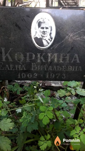Коркин Александр Васильевич
