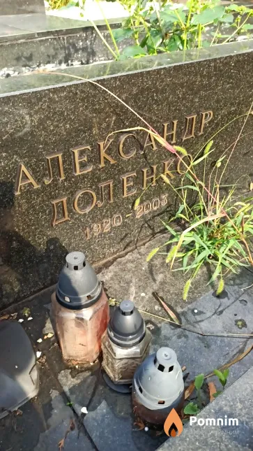 Александр Доленко