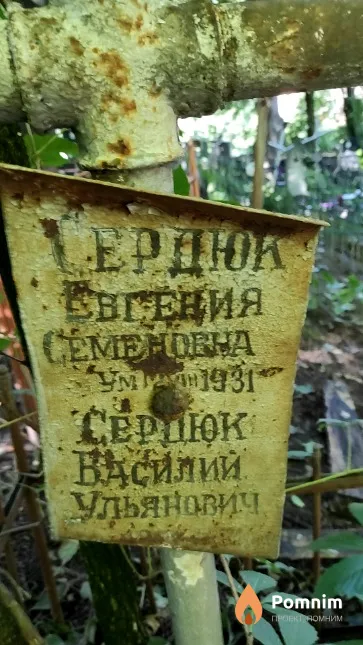 Сердюк Евгения Семеновна