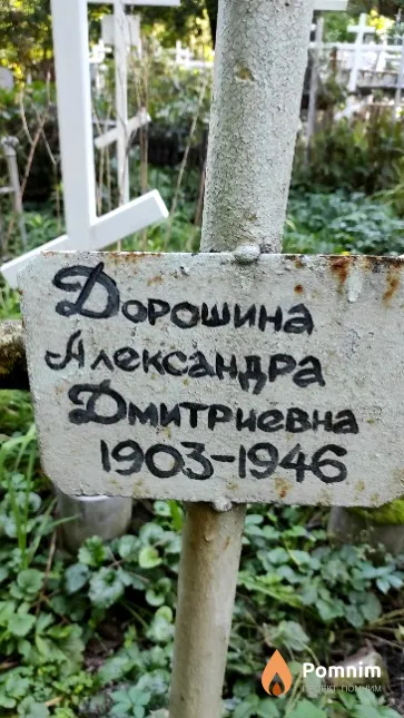 Дорошина Александра Дмитриевна