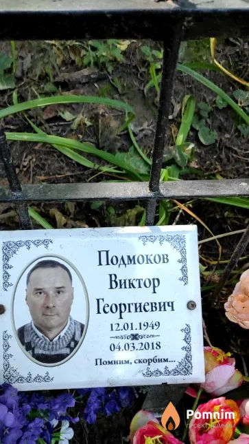 Подмоков Виктор Георгиевич