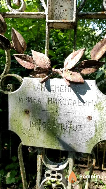 Антоненко Ирина Николаевна