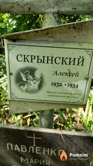 Скрынский Алексей