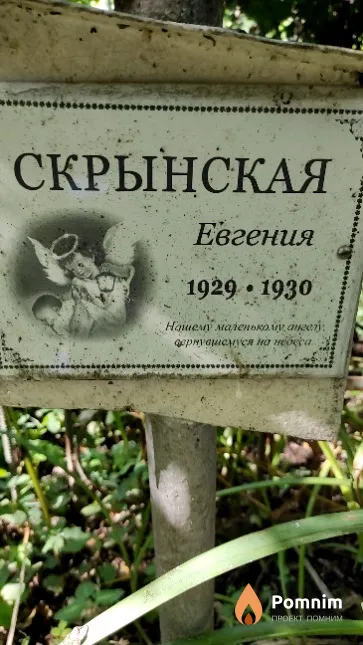 Скрынская Евгения