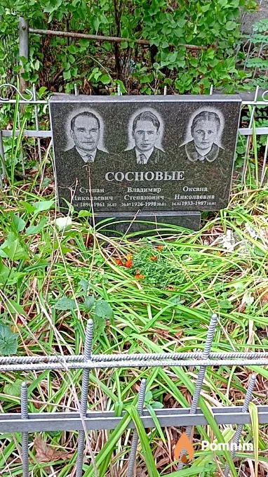 Сосновый Владимир Степанович