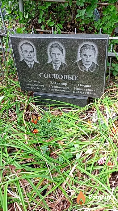 Сосновый Степан Николаевич