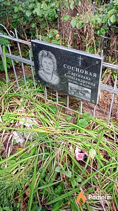 Сосновая Саргилана Александровна