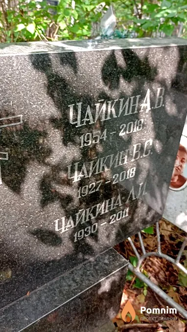 Чайкин В С