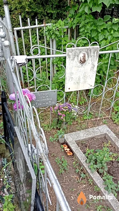 Шевчук Николай Александрович