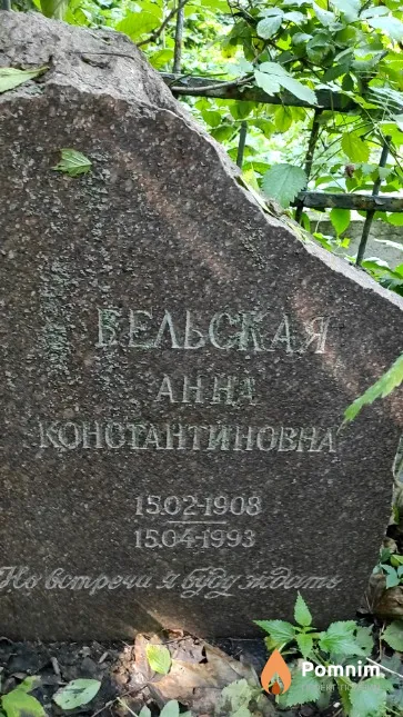 Вельская Анна Константиновна