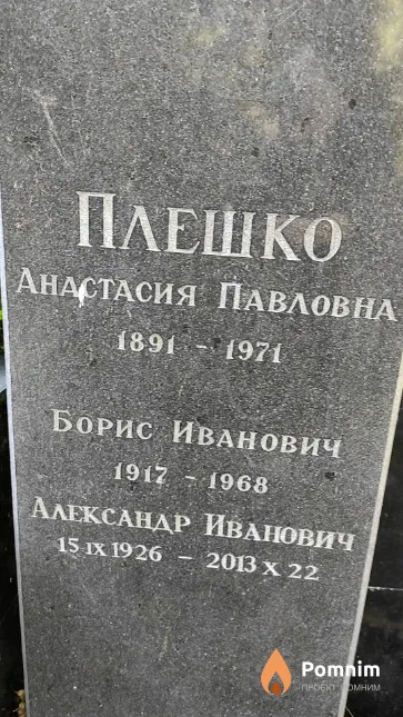 Плешко Александр Иванович