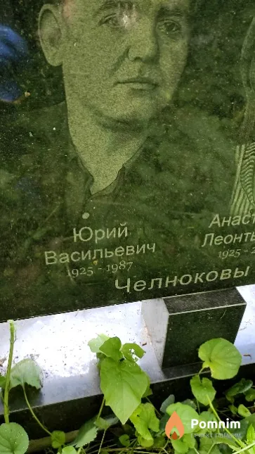 Челноков Юрий Васильевич