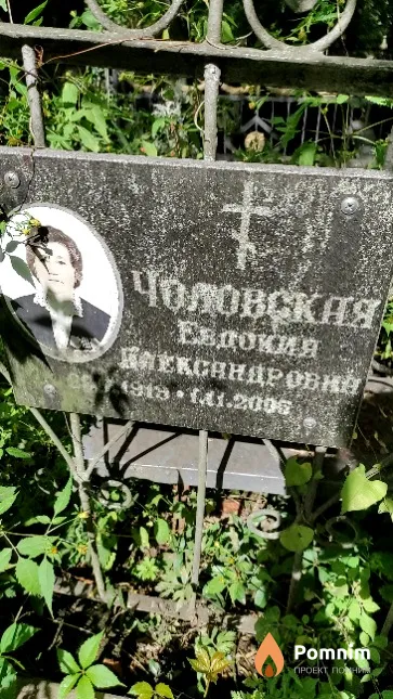 Чоловская Евдокия Александровна