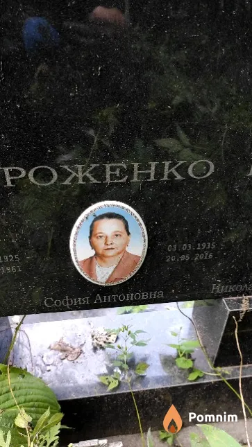 Роженко София Антоновна