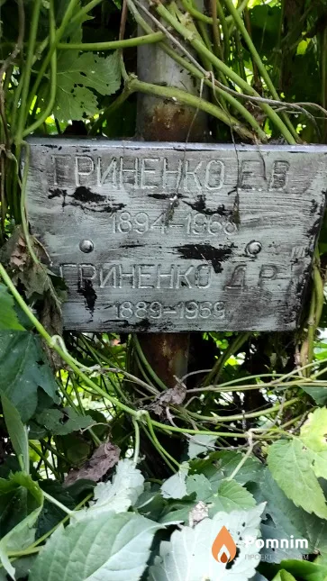 Гриненко Е. В.