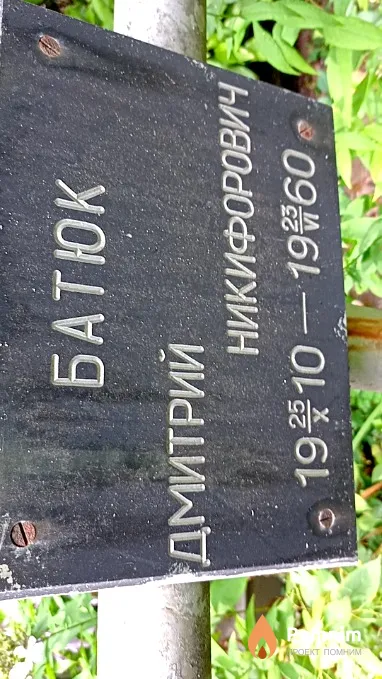 Батюк Дмитрий Никифорович