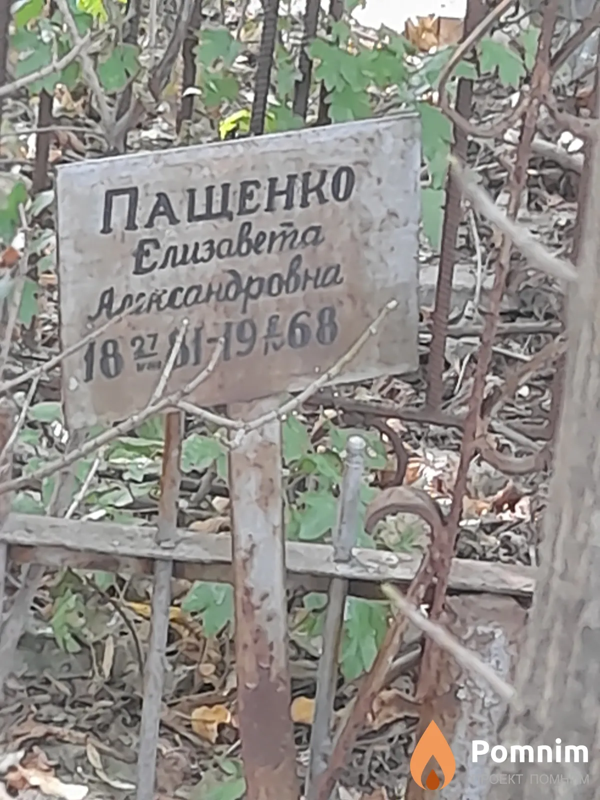 Пащенко Елизавета Александровна