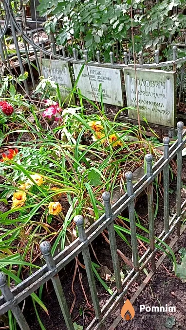 Голович Александра Мироновна