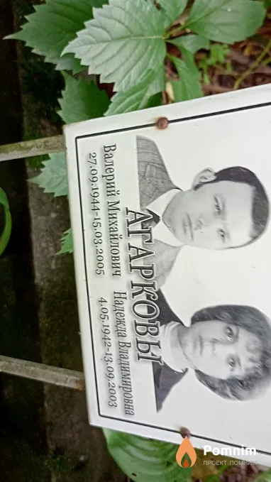 Агаркова Надежда Владимировна