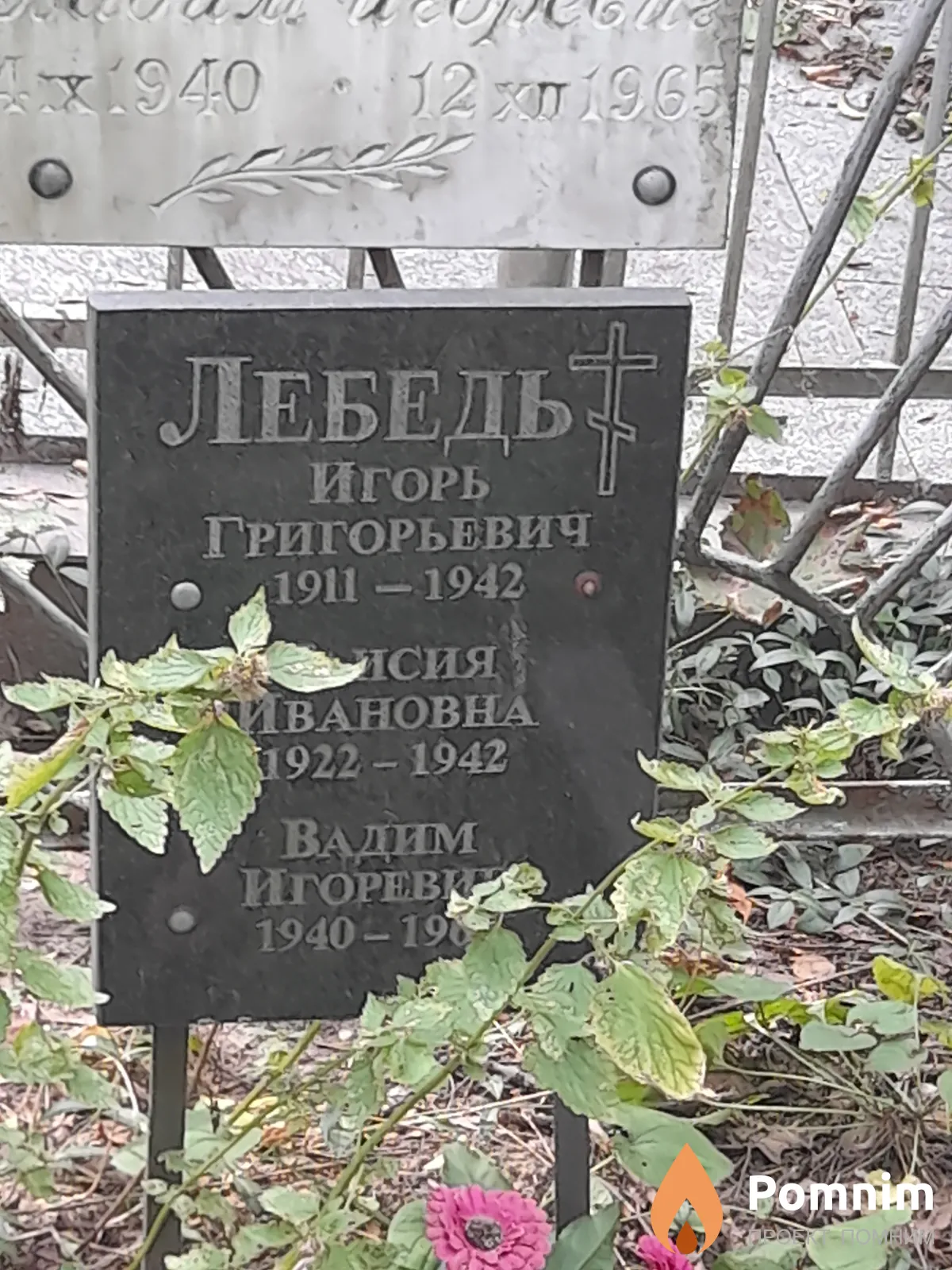 Лебедь Игорь Григорьевич