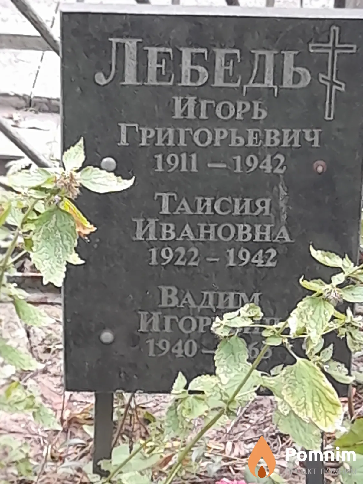 Лебедь Таисия Ивановна
