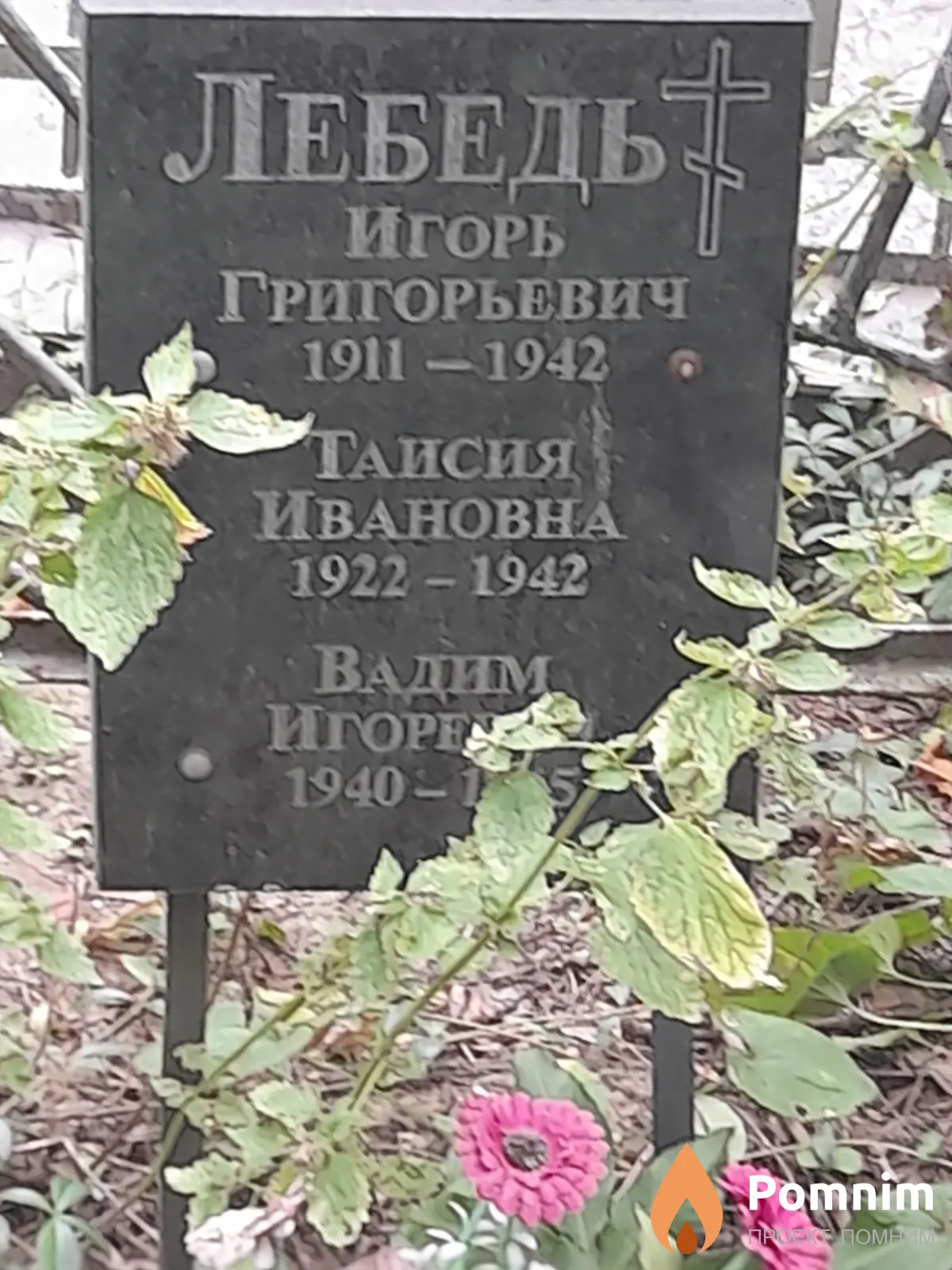 Лебедь Вадим Игоревич