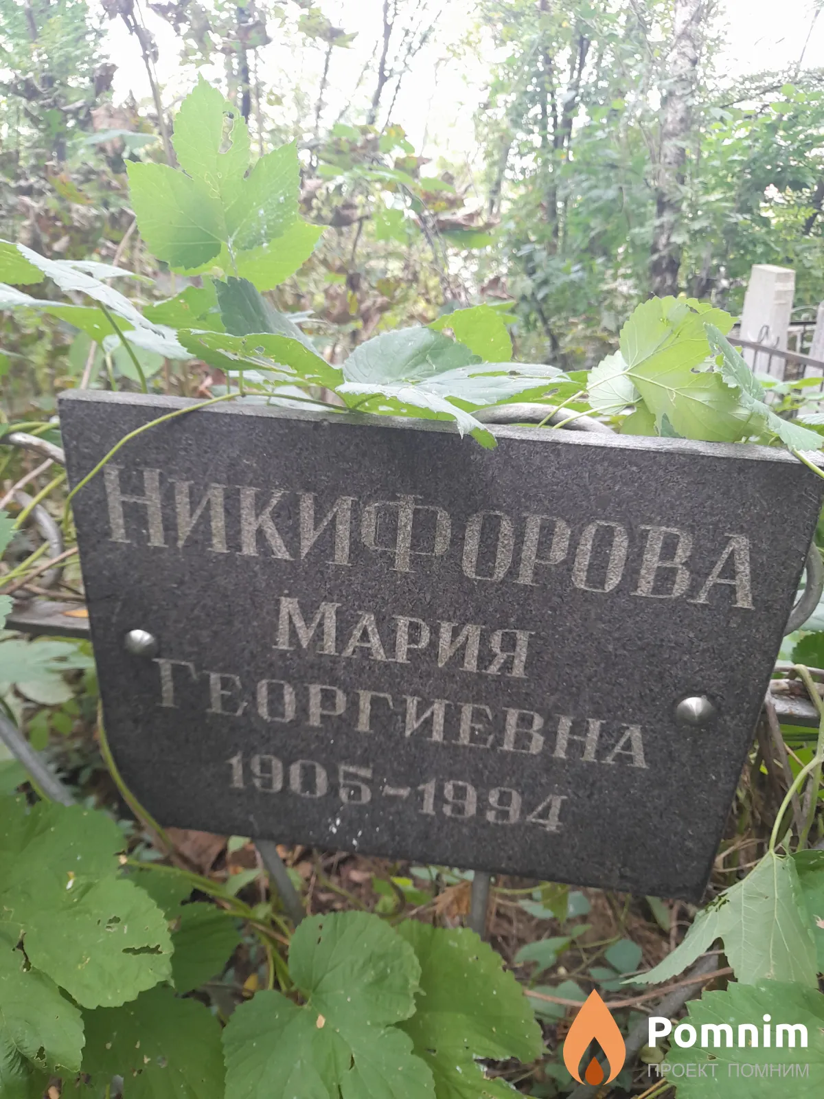 Никифорова Мария Георгиевна