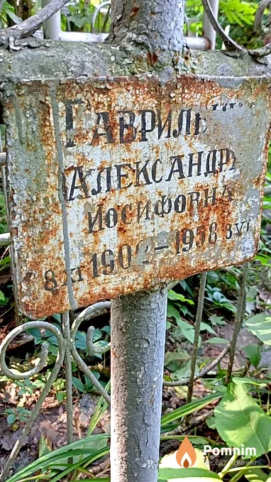 Гавриленко Александра Иосифовна