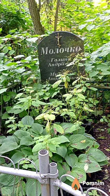 Молочко Галина Андреевна
