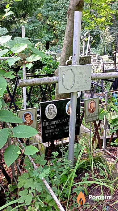 Калинин Николай Сергеевич