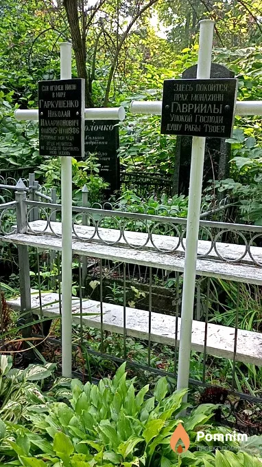 Гаркушенко Николай Илларионович