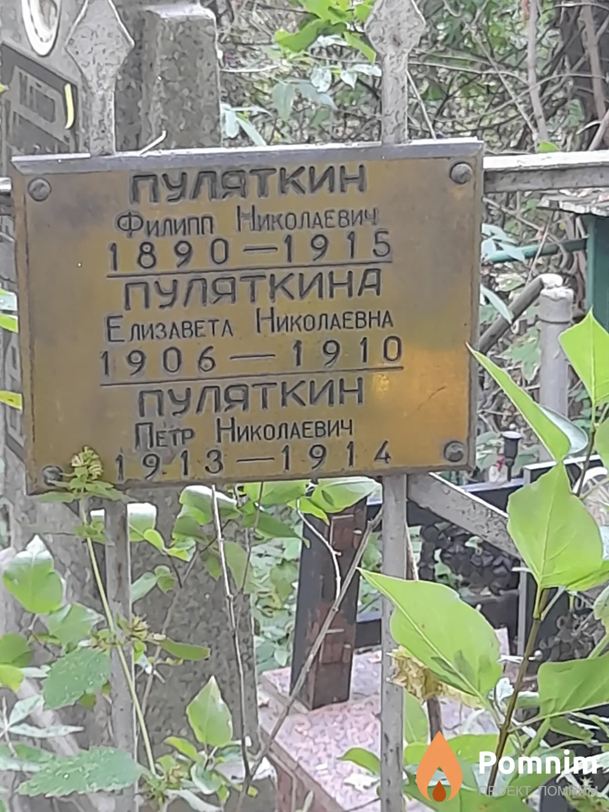 Пуляткина Елизавета Николаевна