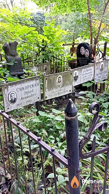 Сикорская Анна Михайловна