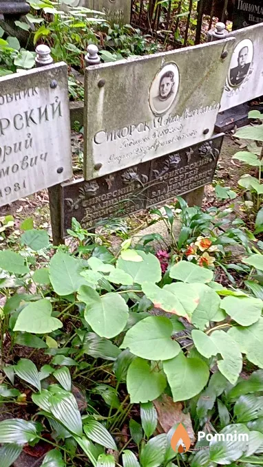 Сикорский Сергей Владимирович
