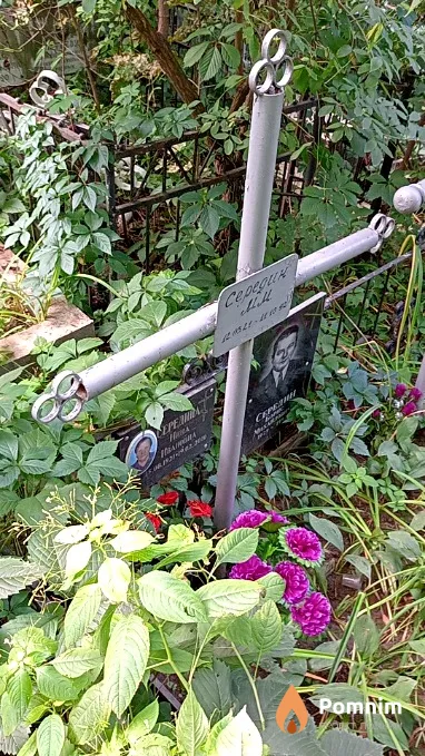 Середин М М