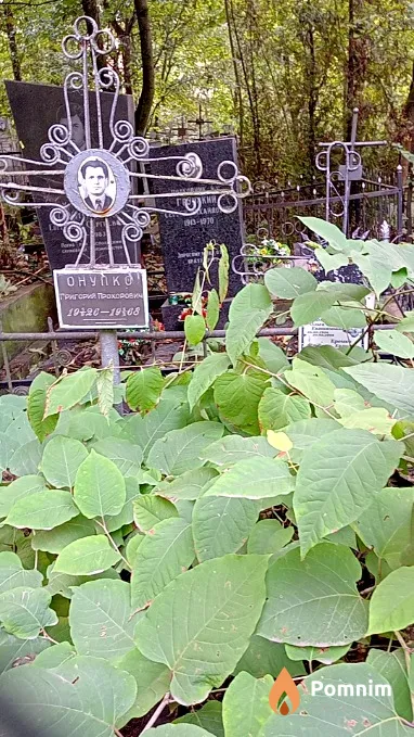 Онупко Григорий Прохорович