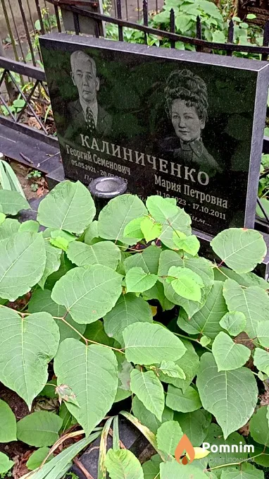 Калиниченко Мария Петровна