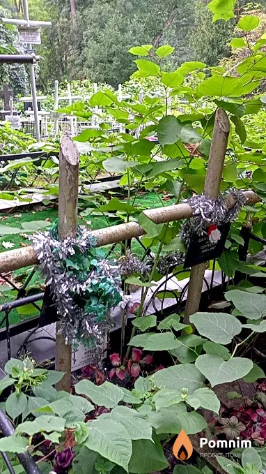 Самсонов Петр Макарович