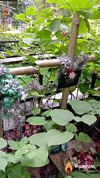 Самсонова Нина Сергеевна