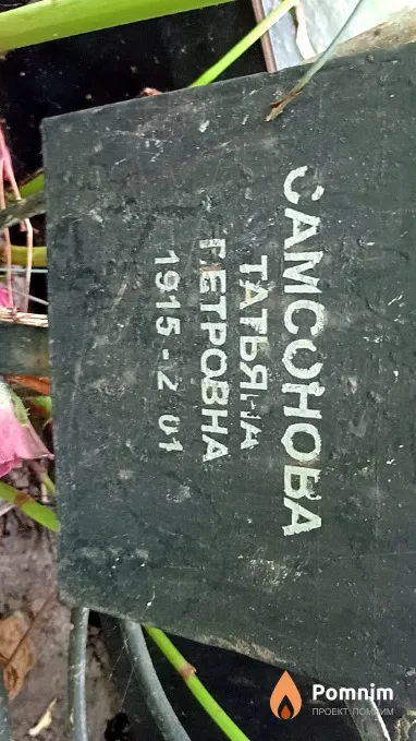 Самсонова Татьяна Петровна