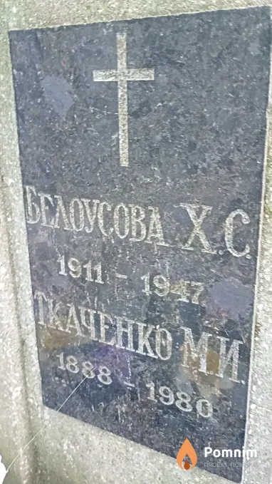 Ткаченко М И