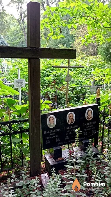 Плешакова Анна Николаевна