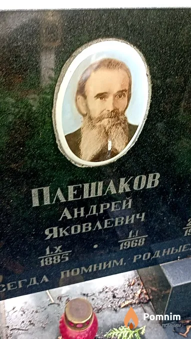 Плешаков Андрей Яковлевич