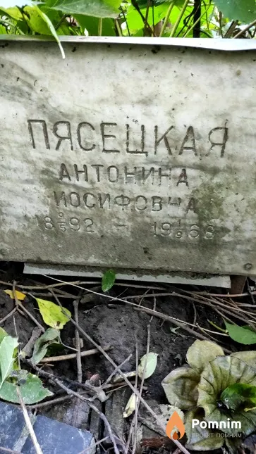Пясецкая Антонина Осифова