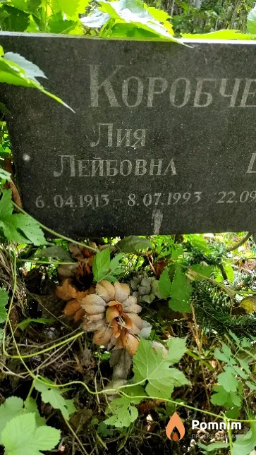 Коробчевская Лия Лейбовна