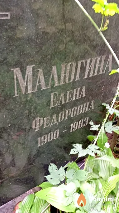 Малюгина Елена Федоровна