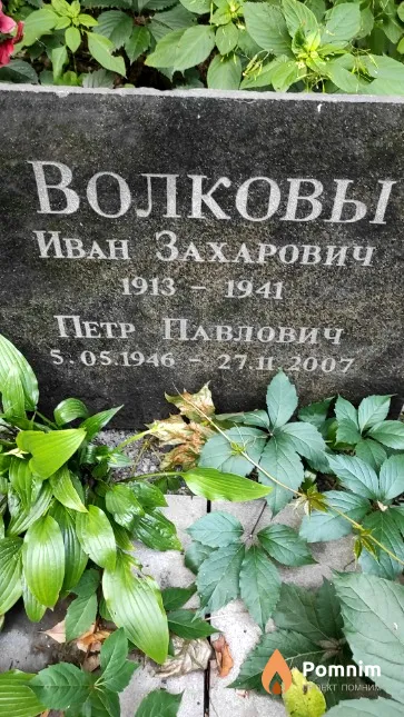 Волков Петр Павлович