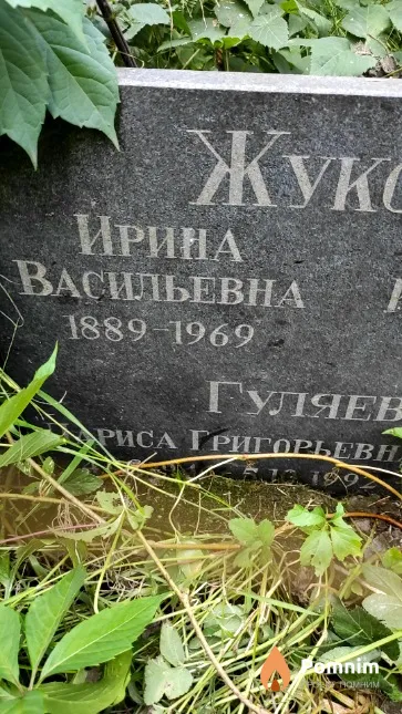 Жукова Ирина Васильевна